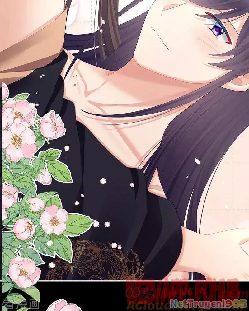 Hậu Cung Của Nữ Đế Chap 470 - Next Chap 468