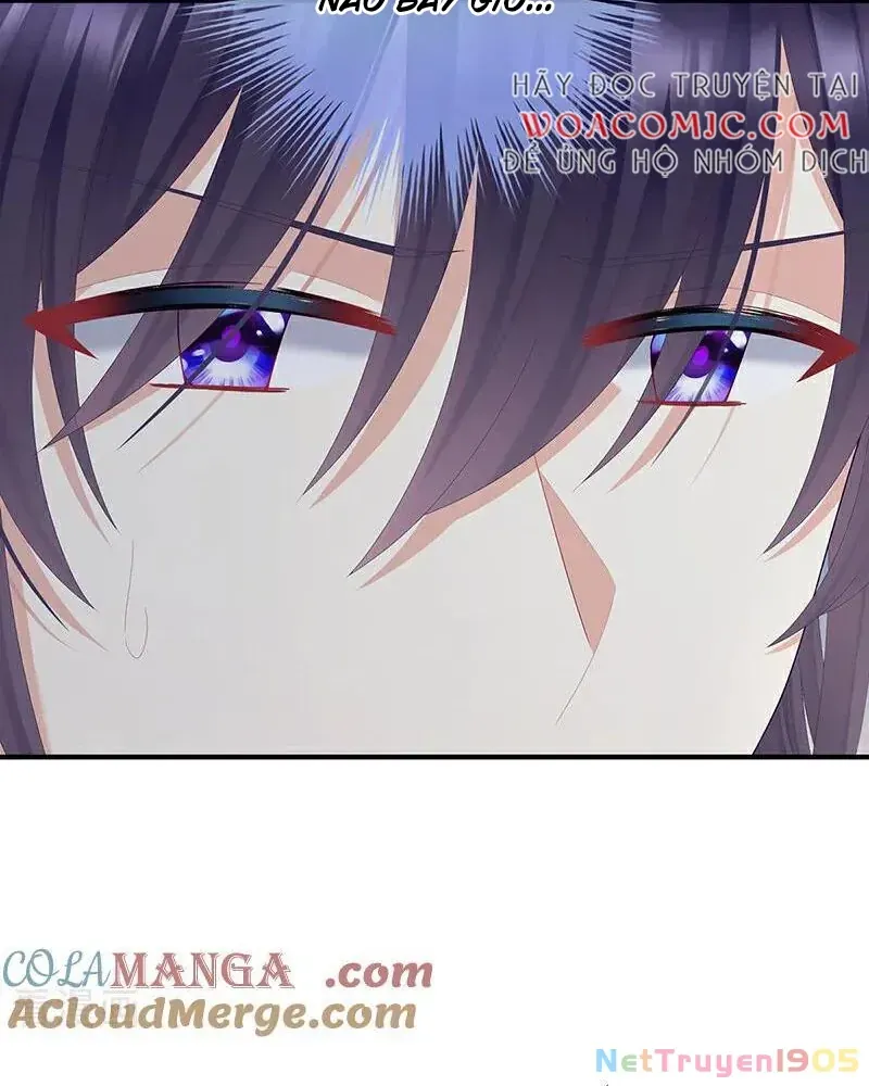 Hậu Cung Của Nữ Đế Chap 479 - Next Chap 478