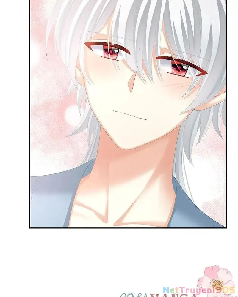 Hậu Cung Của Nữ Đế Chap 481 - Next Chap 480