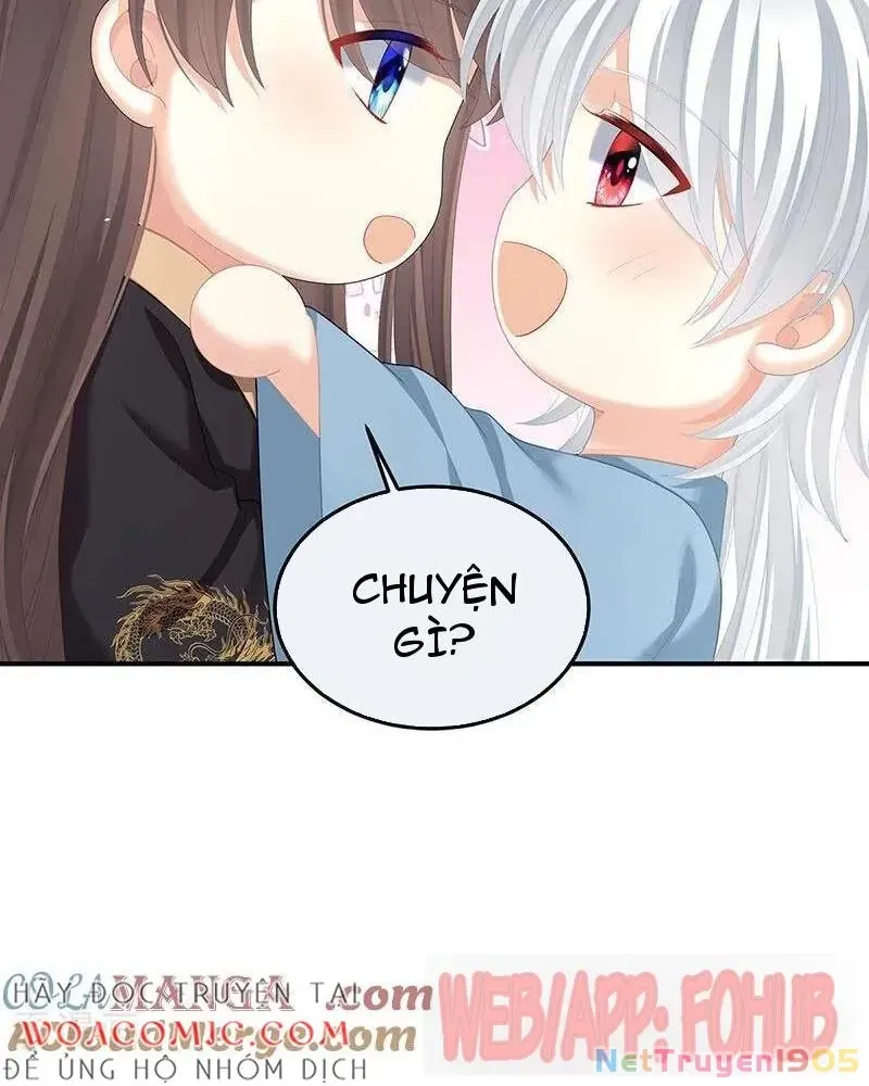 Hậu Cung Của Nữ Đế Chap 481 - Next Chap 480