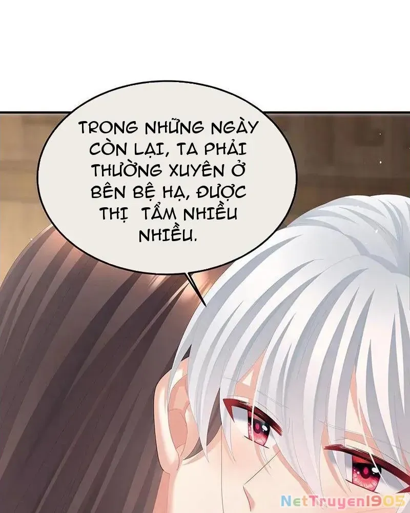 Hậu Cung Của Nữ Đế Chap 481 - Next Chap 480