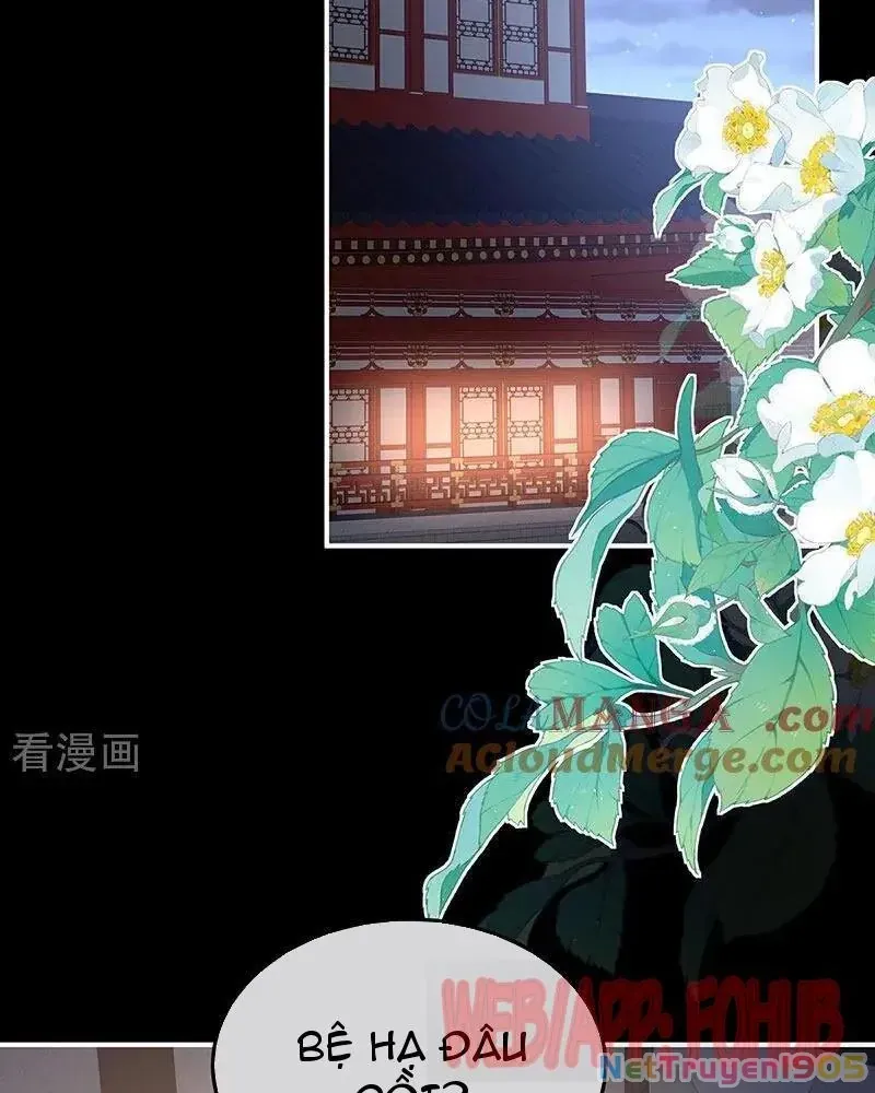 Hậu Cung Của Nữ Đế Chap 481 - Next Chap 480
