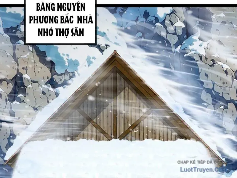 Chu Tinh Thái Thản