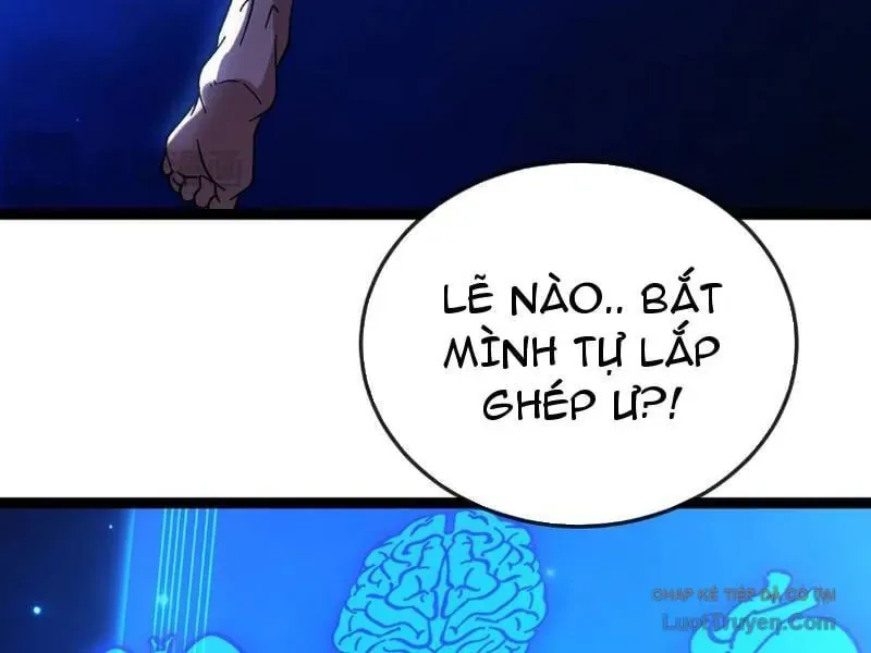Chu Tinh Thái Thản