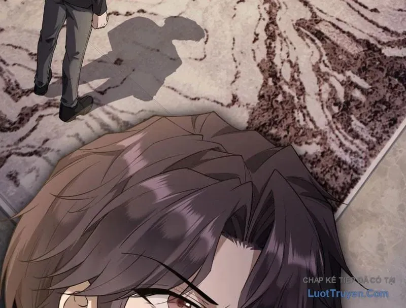 Tên Sát Thủ Này Lại Là Người Ở Rể Chap 5 - Next Chap 4