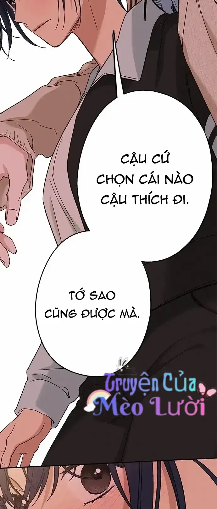 Trang truyện