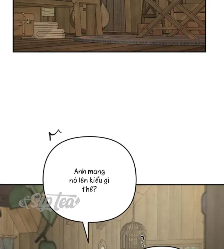 Hy Vọng Duy Nhất Chap 120 - Next Chap 106