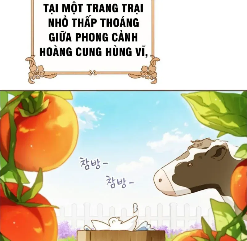 Trang Trại Hạt Dẻ Gần Cung Điện Hoàng Gia Chap 125 - Next Chap 124
