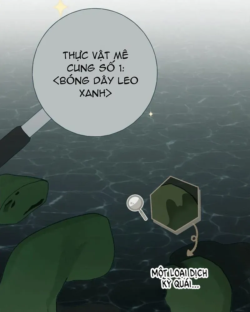 Trang Trại Hạt Dẻ Gần Cung Điện Hoàng Gia Chap 126 - Next Chap 125