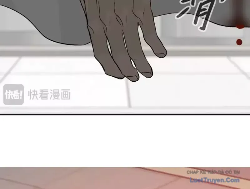 Ác Chi Hoàn