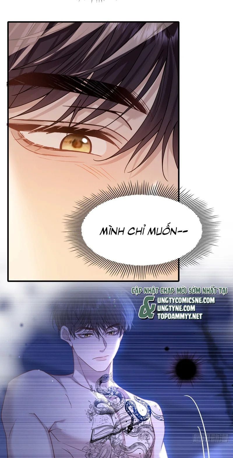 Tôi Cố Ý Giả Vờ Chap 32 - Next Chap 31
