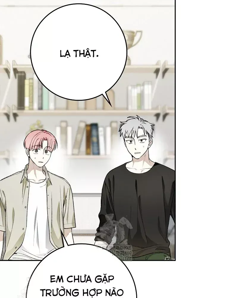 Tân Binh Triệu Đô Chap 72 - Next Chap 71