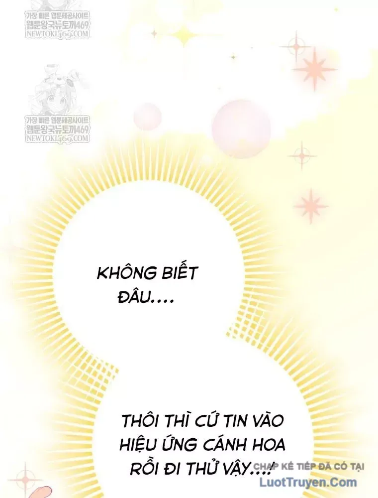 Tân Binh Triệu Đô Chap 73 - Next Chap 72