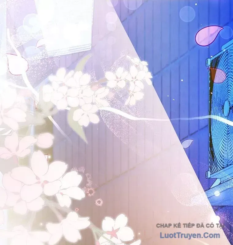 Tân Binh Triệu Đô Chap 75 - Next Chap 74