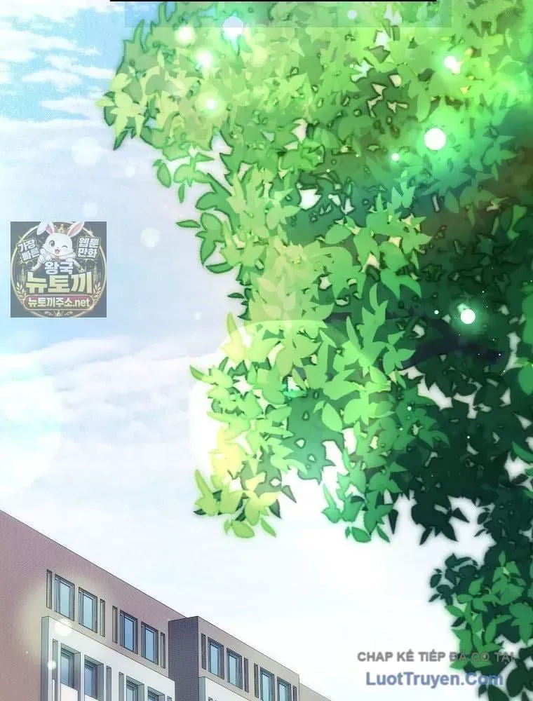 Tân Binh Triệu Đô Chap 82 - Next Chap 81