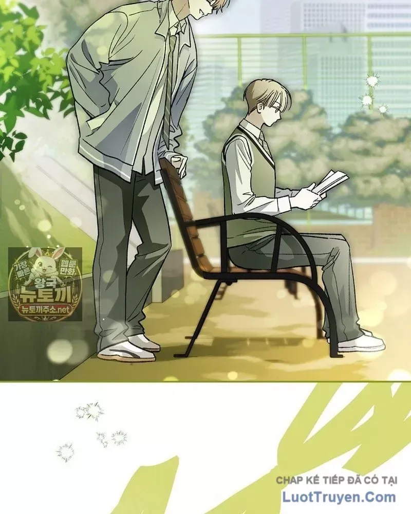 Tân Binh Triệu Đô Chap 84 - Next Chap 83