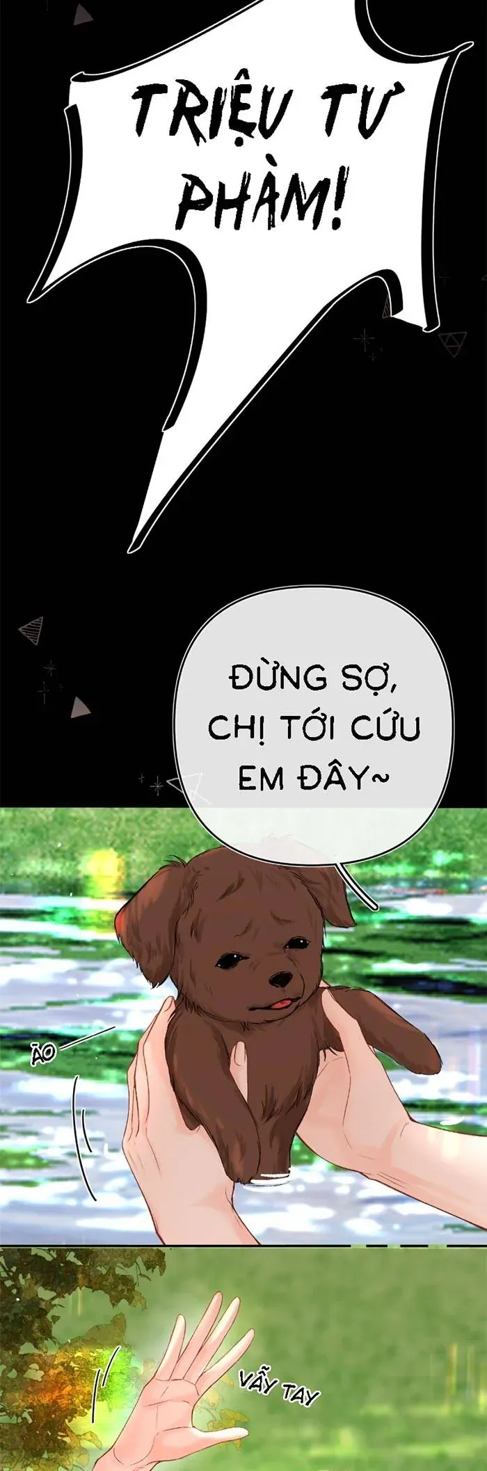 Trang 19
