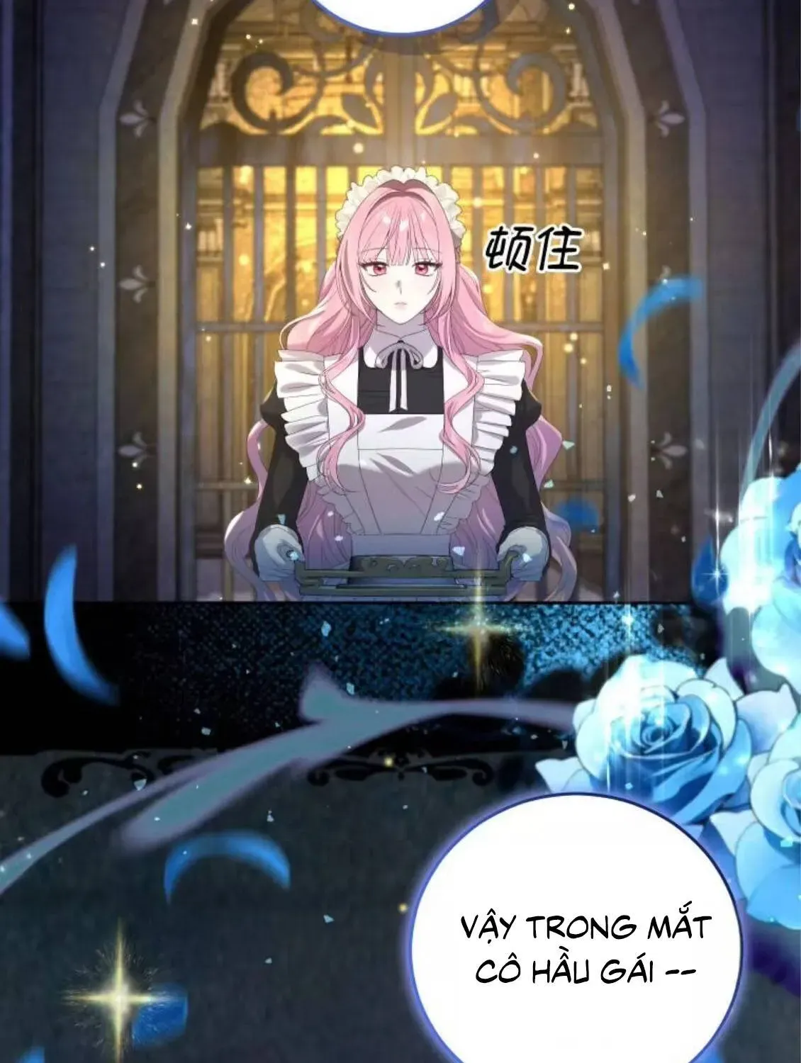 Kẻ Cuồng Chiếm Hữu Muốn Giam Giữ Tôi Chap 8 - Next Chap 7