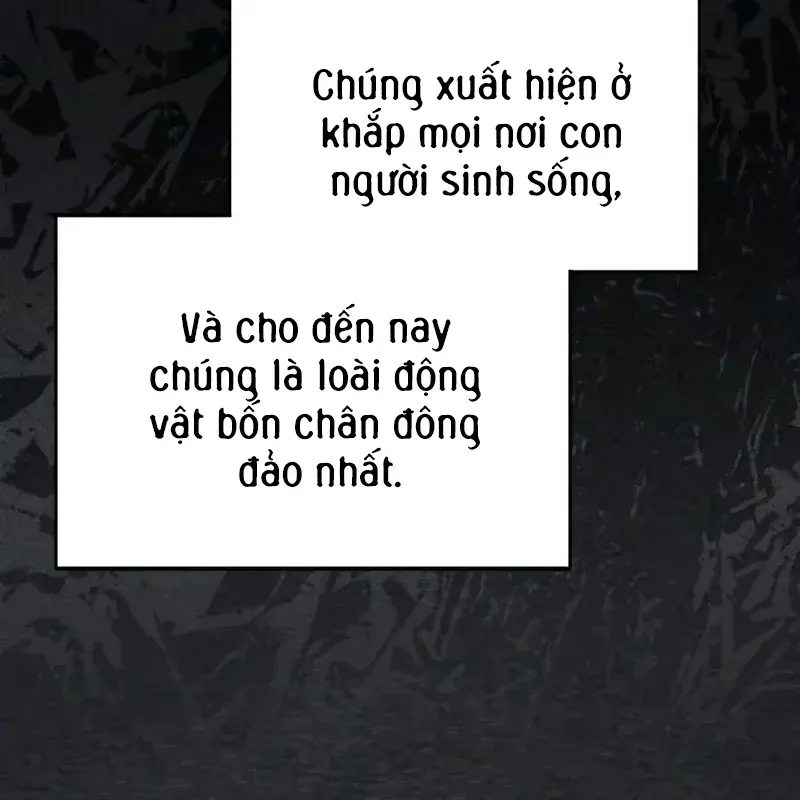 Đa Sắc Ma Pháp Sư Thiên Tài Chap 76 - Next Chap 75