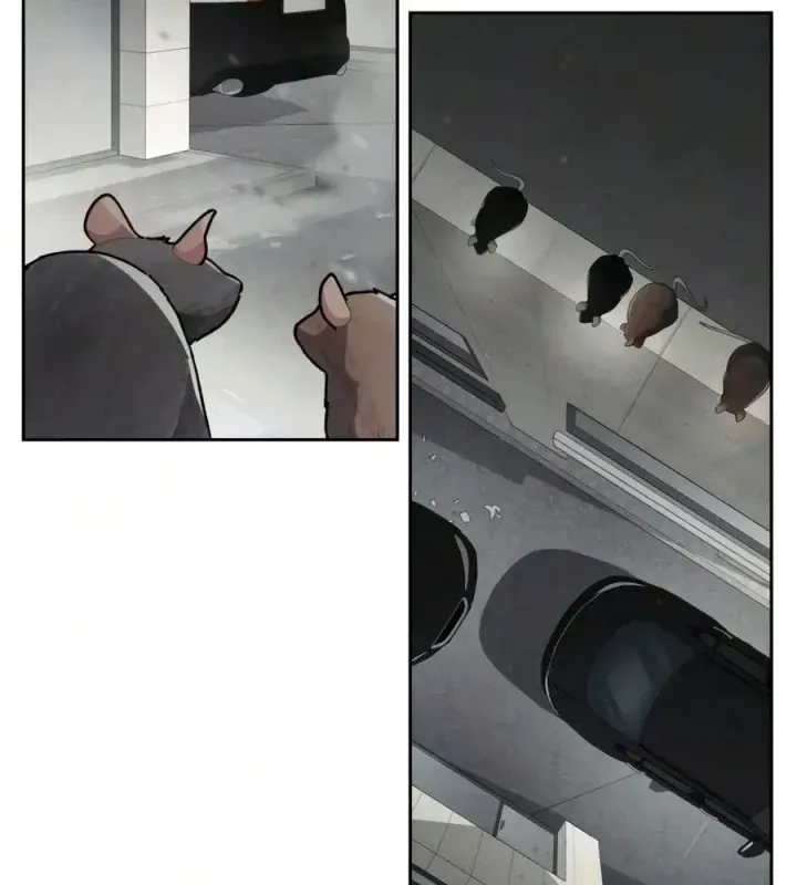 Đa Sắc Ma Pháp Sư Thiên Tài Chap 78 - Next Chap 77
