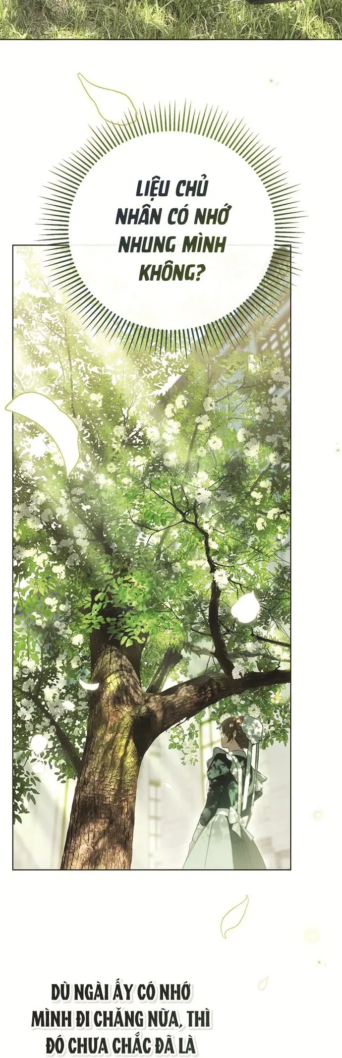 Hầu Nữ Bí Mật Của Bá Tước Chap 83 - Next Chap 82