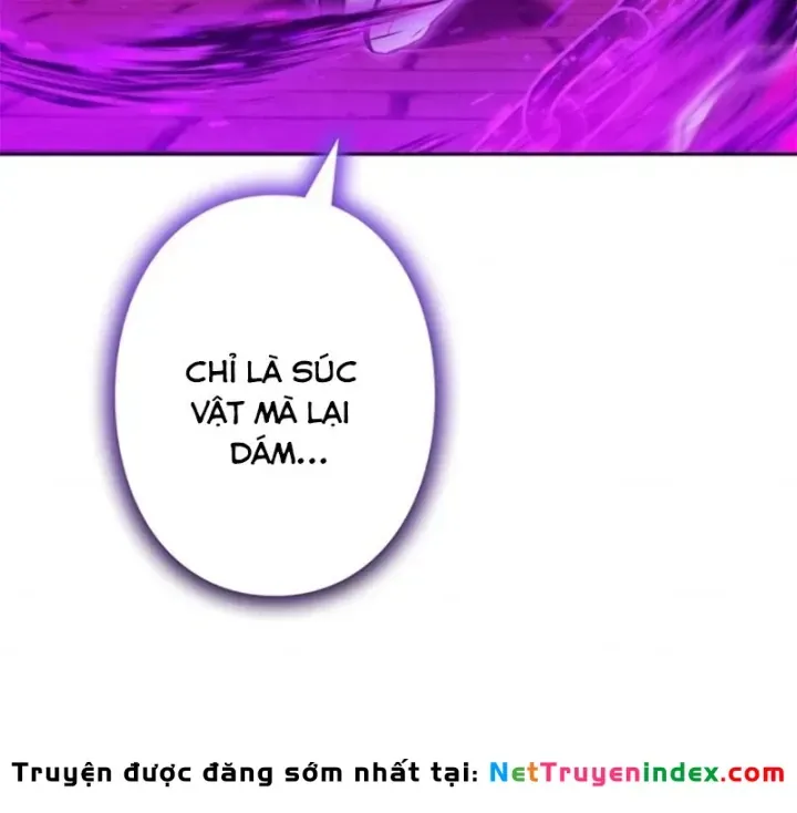 Các Nữ Anh Hùng Muốn Giết Tôi, Một Anh Hùng Chap 53 - Next Chap 52