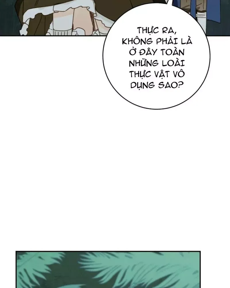 Trang Trại Hạt Dẻ Gần Cung Điện Hoàng Gia Chap 127 - Next Chap 126