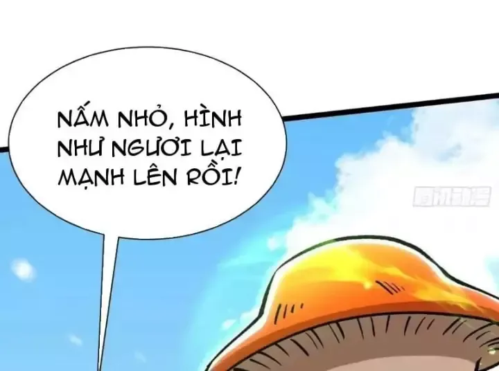 Ta Thật Không Muốn Học Cấm Chú Chap 176 - Next Chap 175
