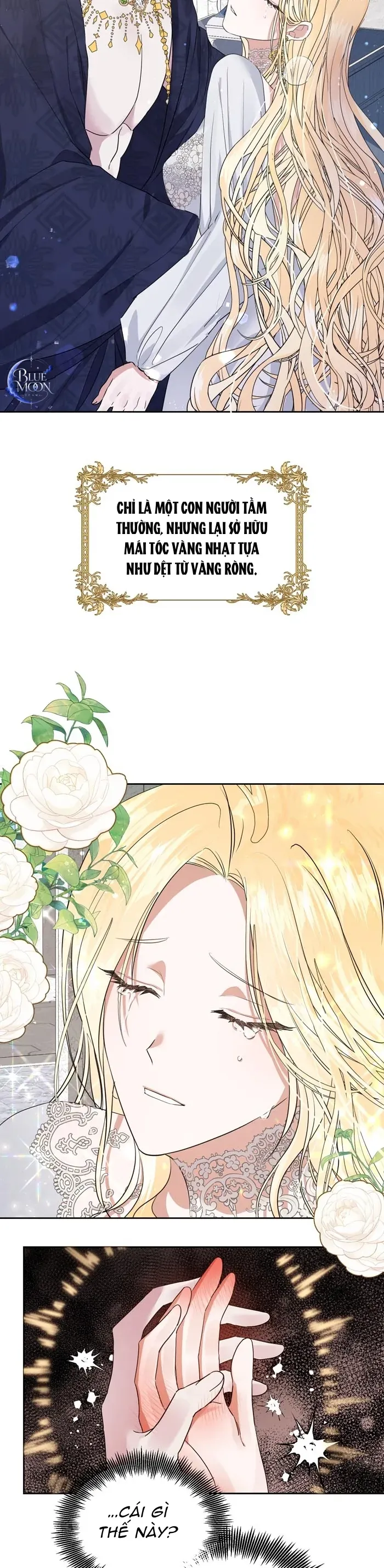 Hào Quang Rực Rỡ Chap 3 - Next Chap 2