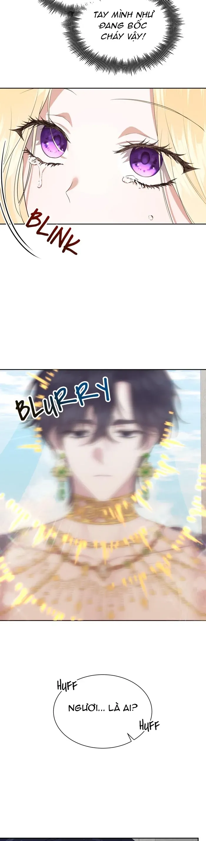 Hào Quang Rực Rỡ Chap 3 - Next Chap 2