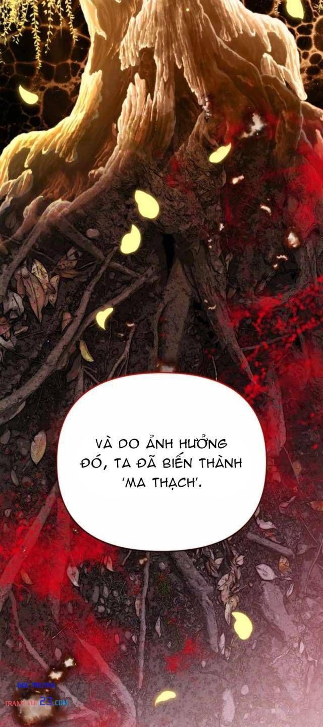 Nòng Nọc Nhỏ Đi Tìm Cha - Chapter 25 - truyendanghot.com