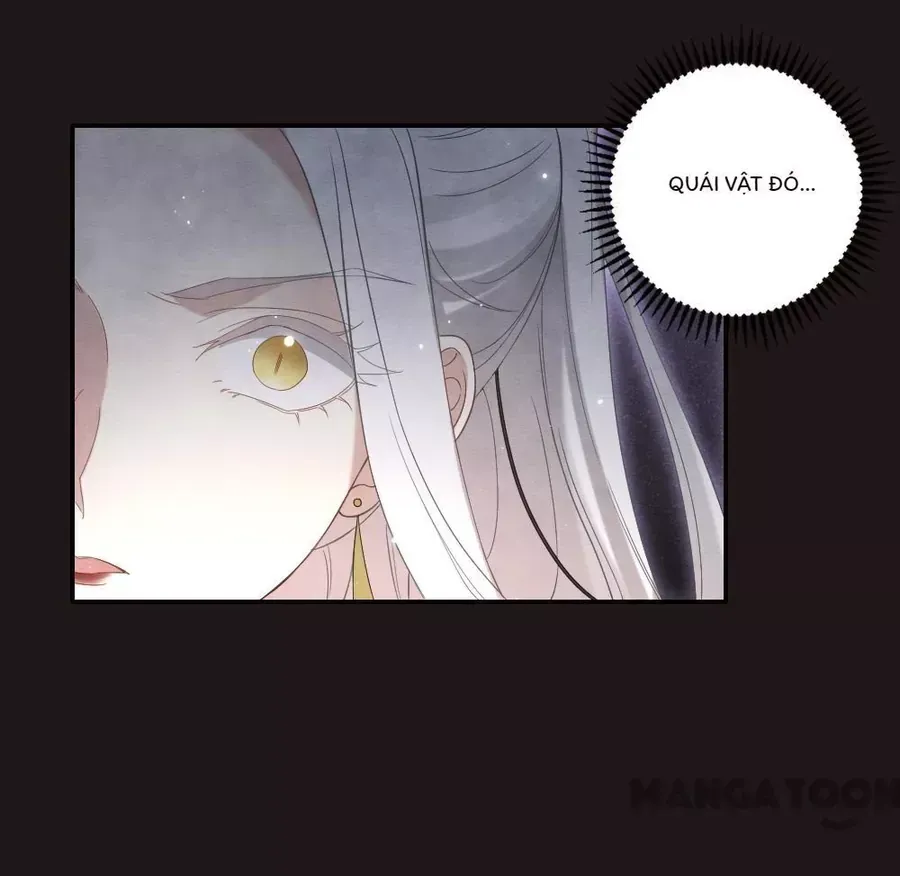 Mejaz - Nhân gian ngọc - Chapter 186 - truyendanghot.com