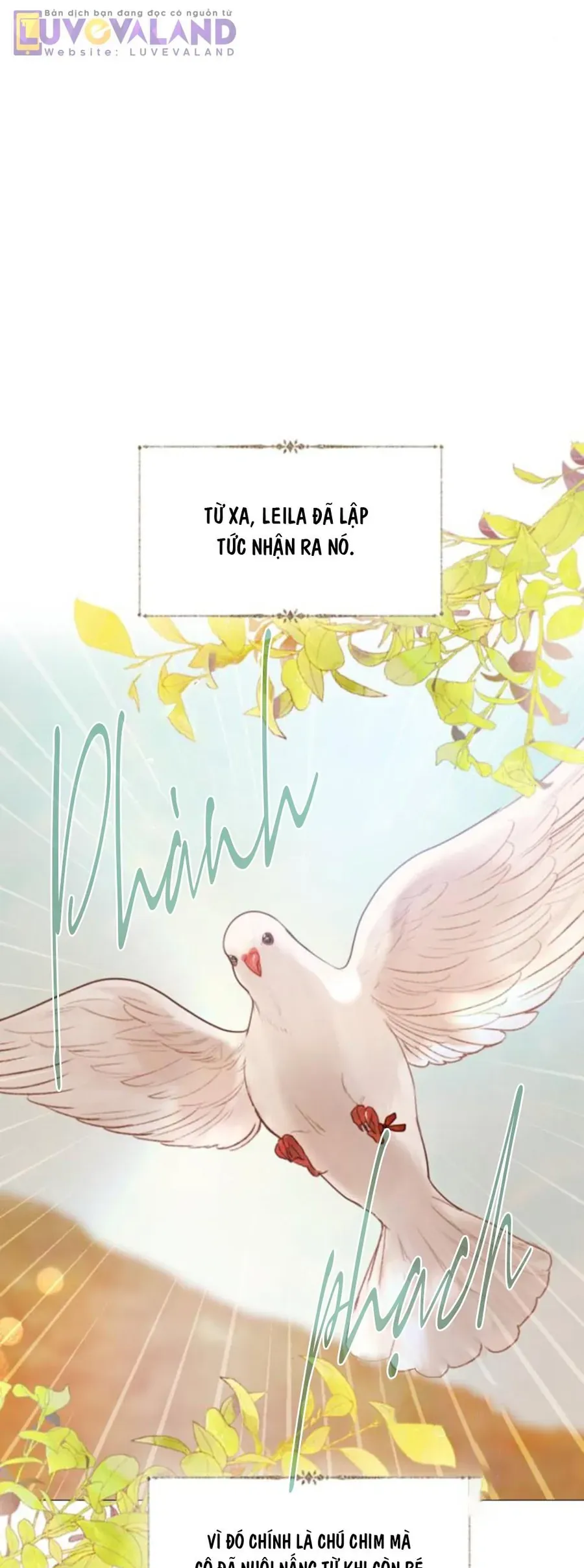 Hãy Khóc Và Cầu Nguyện Đi - Chapter 61 - truyendanghot.com