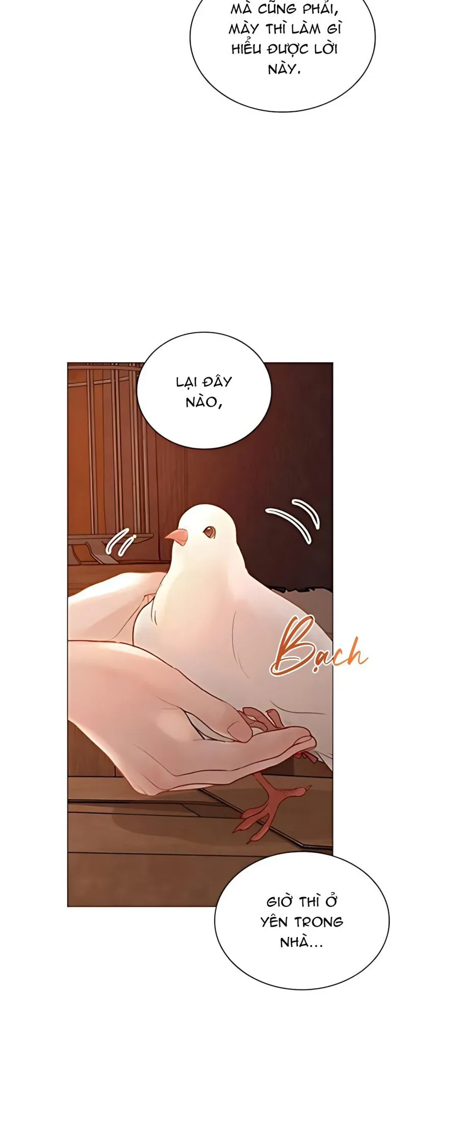 Hãy Khóc Và Cầu Nguyện Đi - Chapter 63 - truyendanghot.com