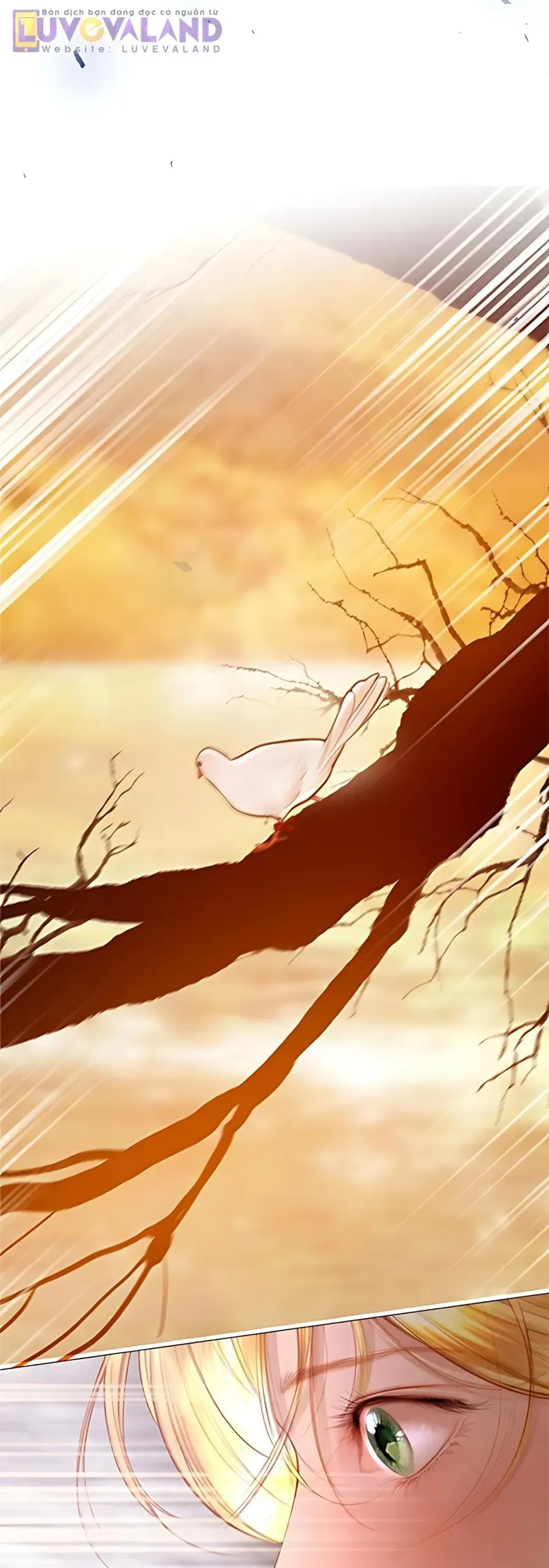 Hãy Khóc Và Cầu Nguyện Đi - Chapter 74 - truyendanghot.com