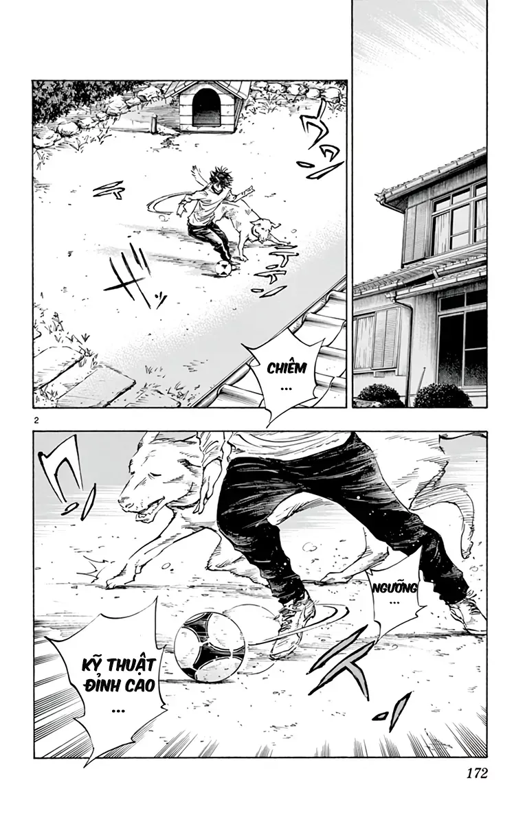 Be Blues! - Ao Ni Nare Chap 319 - Next Chap 318