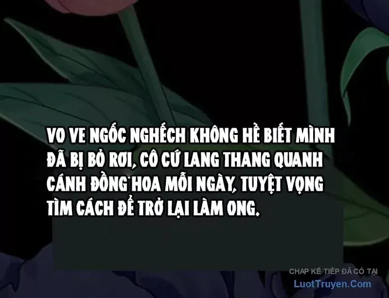 Tôi Sẽ Cho Bạn Biết Bạn Đáng Giá Bao Nhiêu Chap 40 - Next Chap 39