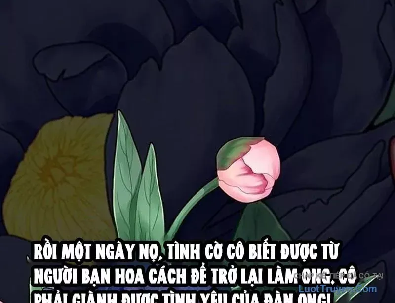 Tôi Sẽ Cho Bạn Biết Bạn Đáng Giá Bao Nhiêu Chap 40 - Next Chap 39