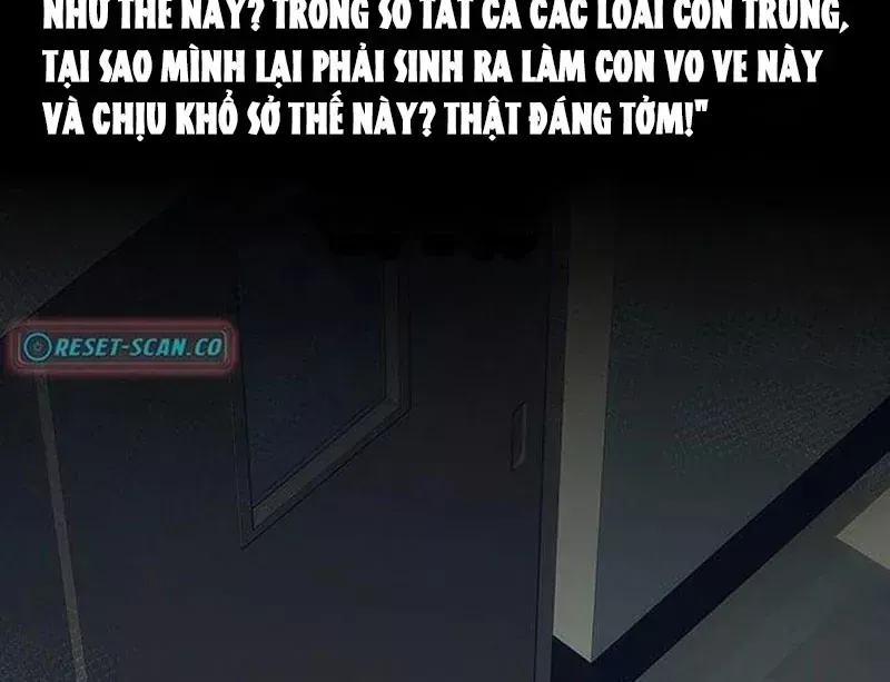Tôi Sẽ Cho Bạn Biết Bạn Đáng Giá Bao Nhiêu Chap 40 - Next Chap 39