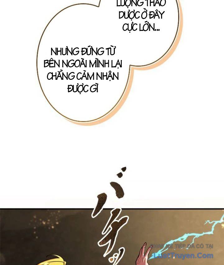 Kiếm Đế Tái Sinh Vào Gia Đình Kiếm Thuật - Chapter 12 - truyendanghot.com