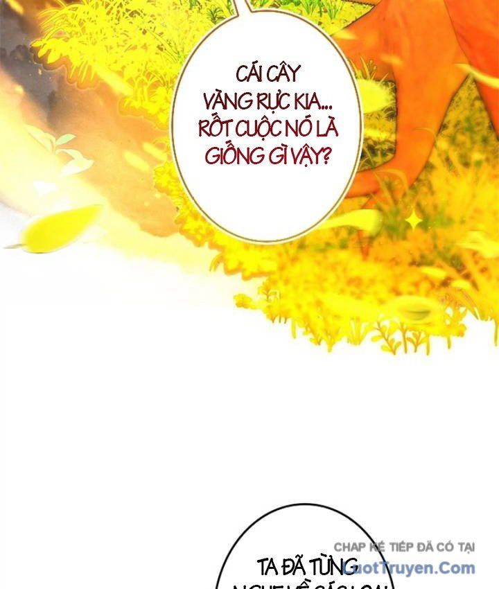 Kiếm Đế Tái Sinh Vào Gia Đình Kiếm Thuật - Chapter 12 - truyendanghot.com