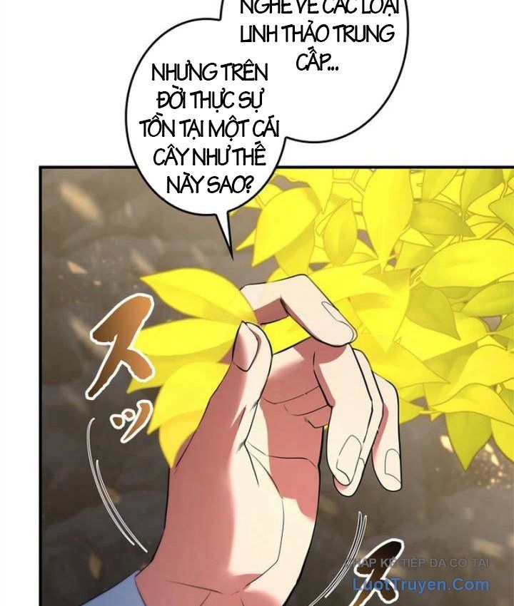 Kiếm Đế Tái Sinh Vào Gia Đình Kiếm Thuật - Chapter 12 - truyendanghot.com