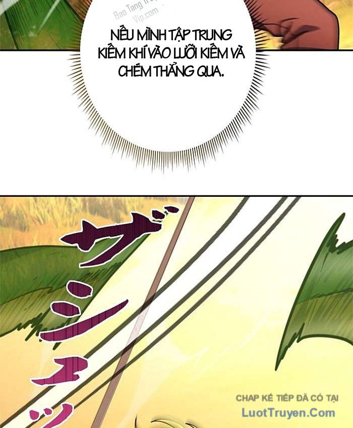 Kiếm Đế Tái Sinh Vào Gia Đình Kiếm Thuật - Chapter 19 - truyendanghot.com