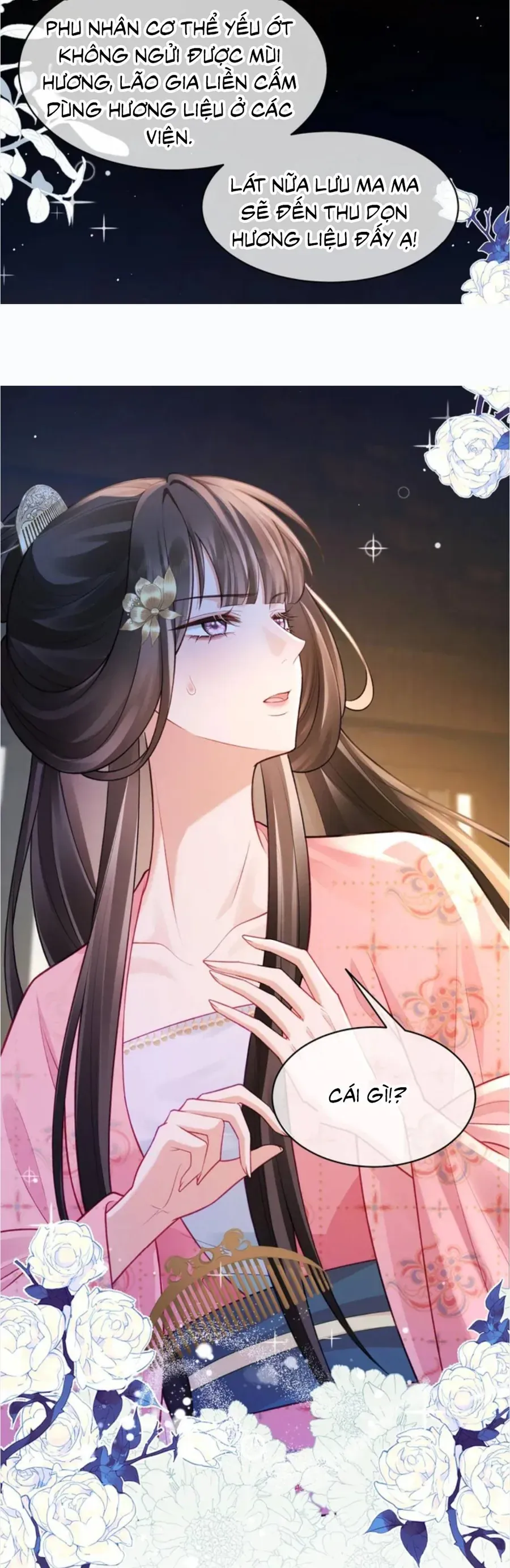 Tỷ Tỷ , Kiếp Này Ta Tiễn Tỷ Lên Đường Chap 13 - Next Chap 12