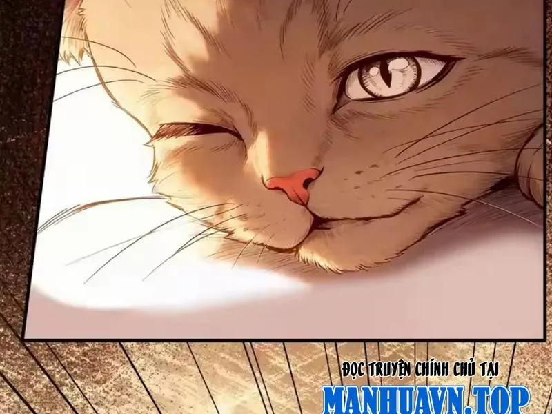 Mạt Thế Cao Ôn: Ta Dựa Vào Phòng An Toàn Thành Thần Chap 28 - Next Chap 27