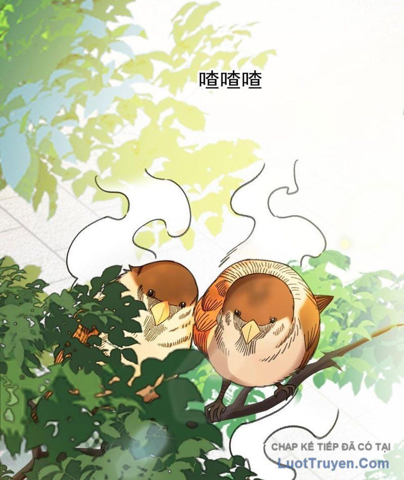 Mạt Thế Cao Ôn: Ta Dựa Vào Phòng An Toàn Thành Thần Chapter 4 - ảnh 105