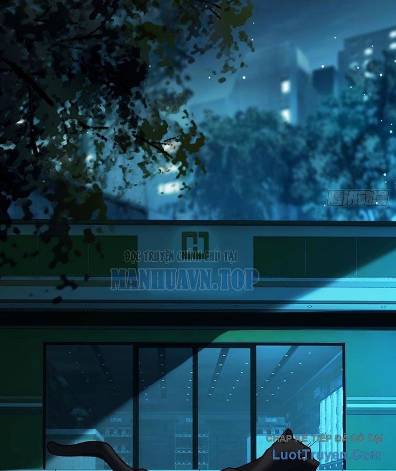 Mạt Thế Cao Ôn: Ta Dựa Vào Phòng An Toàn Thành Thần Chapter 4 - ảnh 90