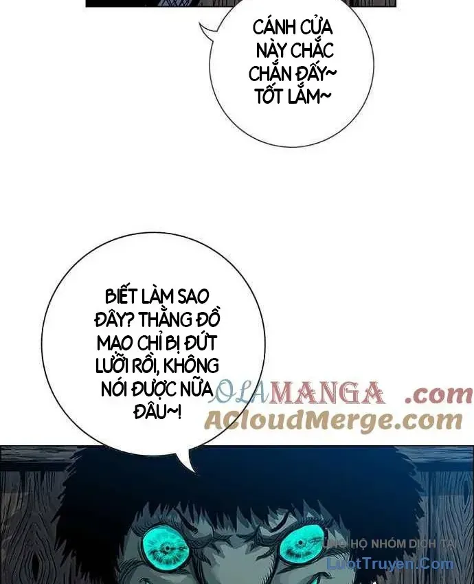 Anh Trai Tôi Là Hổ