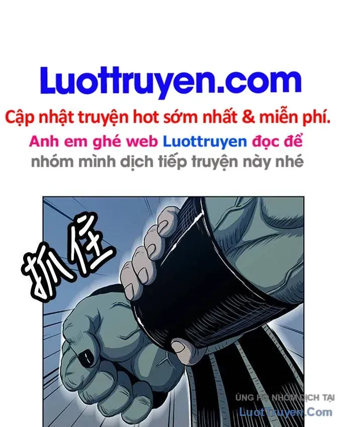 Anh Trai Tôi Là Hổ