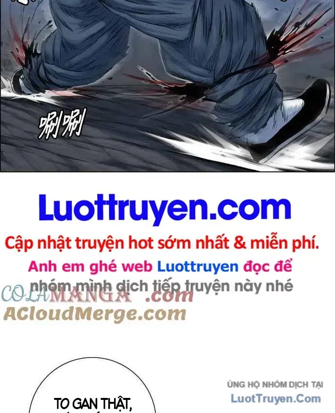 Anh Trai Tôi Là Hổ
